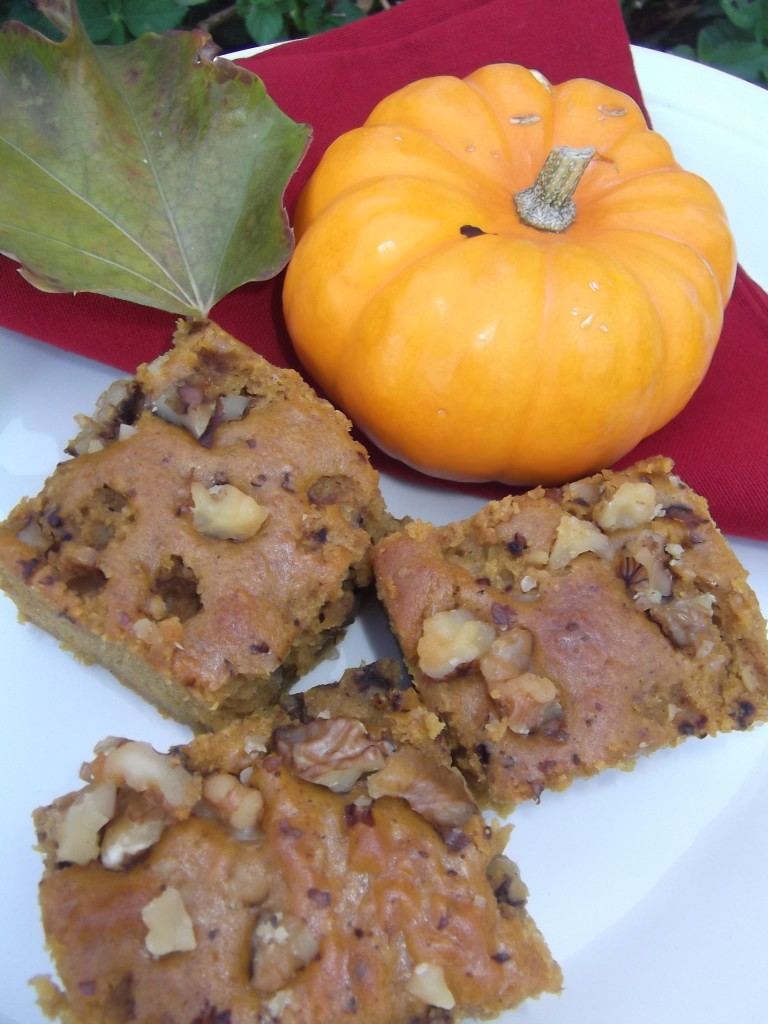 Pumpkin Squares