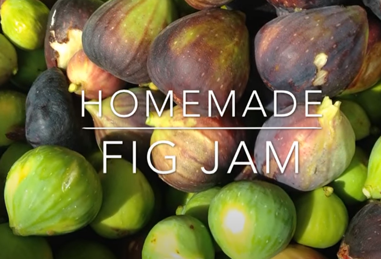 FIG JAM